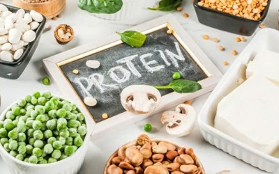 Điều gì xảy ra với cơ thể khi hạn chế bổ sung protein?