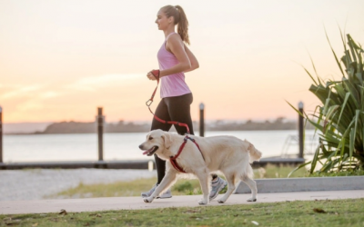 Hướng dẫn huấn luyện thể dục cho cún cưng 