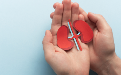 Giữ thận khỏe mạnh bằng thói quen đơn giản