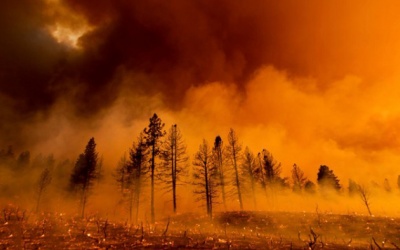 Khói cháy rừng - Mối đe dọa với sức khỏe tâm thần 