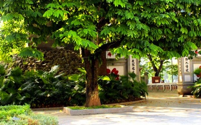 Bắc Bộ hửng nắng, Nam Bộ mưa dông vài nơi