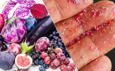 Cách hạn chế tác hại của vi nhựa đến sức khỏe