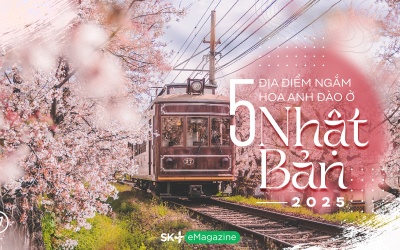 5 địa điểm ngắm hoa anh đào ở Nhật Bản năm 2025