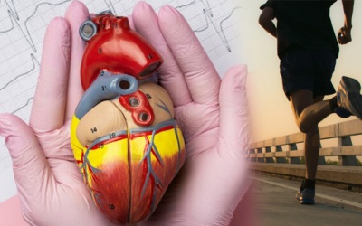 Hở van tim nhẹ có nên tập thể dục không?