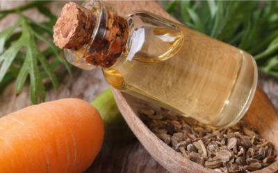 Giúp tóc chắc khoẻ cùng dầu cà rốt 