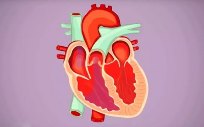 Những điều bác sĩ muốn người bệnh hiểu về bệnh rung nhĩ