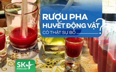 Podcast: Rượu pha huyết động vật có thật sự bổ?