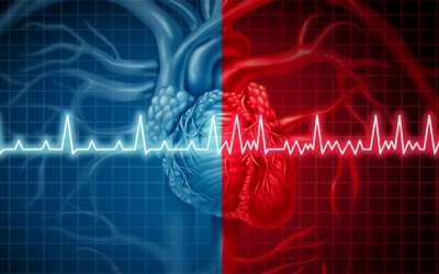 Block nhĩ thất có nguy hiểm không?