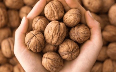 Ăn quả óc chó giảm nguy cơ mắc ung thư đại trực tràng