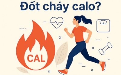 Bạn nên đốt cháy bao nhiêu calo mỗi ngày?