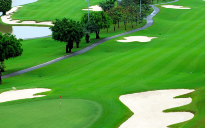 Sống gần sân golf tăng nguy cơ mắc bệnh Parkinson?