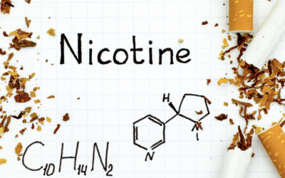 Nicotine tồn tại trong cơ thể bao nhiêu lâu?