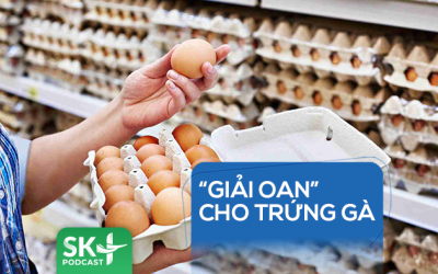 Podcast: “Giải oan” cho trứng gà