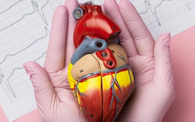 Hở van 2 lá có gây suy tim không?