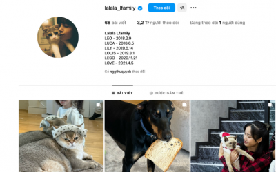 Điểm danh “bạn bốn chân” đình đám của người nổi tiếng 