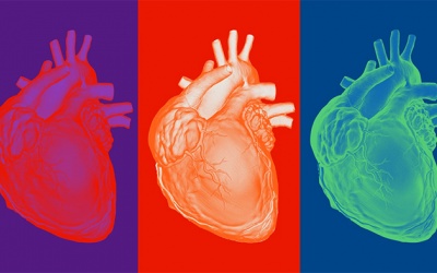 Suy giảm thính lực và suy tim có mối liên hệ gì?