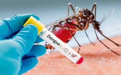 TP.HCM: Ca sốt xuất huyết tăng mạnh, làm thế nào để phòng bệnh?