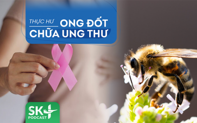 Podcast: Dùng ong đốt chữa ung thư, 'lợn lành thành lợn què'