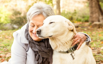 Thú cưng: “Liều thuốc” chữa lành tuổi già 