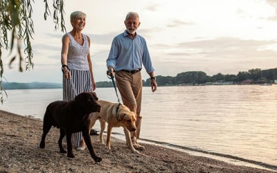 Đi bộ có thể giúp giảm đau lưng dưới