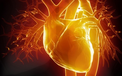 Người bị thiếu máu cơ tim có thể cần uống thuốc gì?