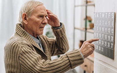 Hợp chất có trong loại thảo mộc “quen mặt” giúp ngừa bệnh Alzheimer