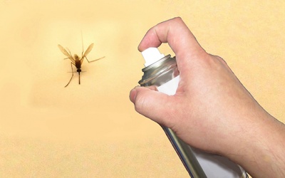 Làm sao để phòng tránh muỗi đốt?