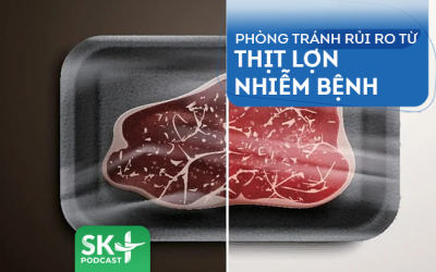Podcast: Phòng tránh rủi ro từ thịt lợn nhiễm bệnh