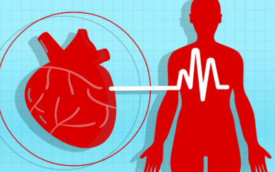 9 loại thảo mộc quen thuộc giúp hạ huyết áp hiệu quả 