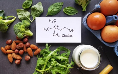 Những thực phẩm có thể giảm nguy cơ mắc bệnh Alzheimer