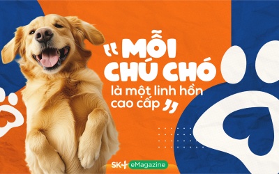 “Mỗi chú chó là một linh hồn cao cấp”