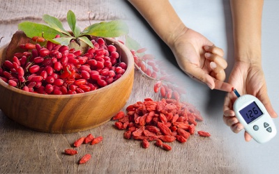 Dùng câu kỷ tử thế nào để kiểm soát đái tháo đường?