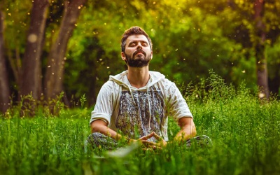 Những địa điểm ngoài trời giúp bạn tìm lại bình yên