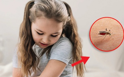 Lầm tưởng tai hại về loài muỗi