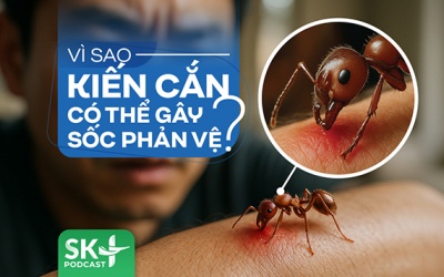 Podcast: Vì sao kiến cắn có thể gây sốc phản vệ?