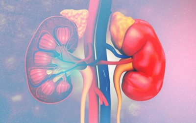 Ung thư thận: Xu hướng gia tăng đáng báo động