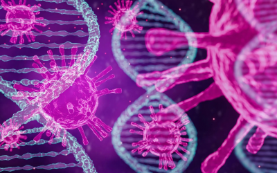 Phát hiện mới về virus bạch cầu giúp 'cách mạng hóa' điều trị HIV