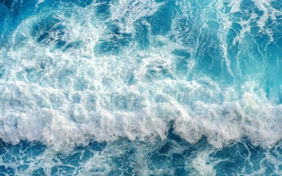 Vi khuẩn ăn thịt người có trong nước biển nguy hiểm thế nào?