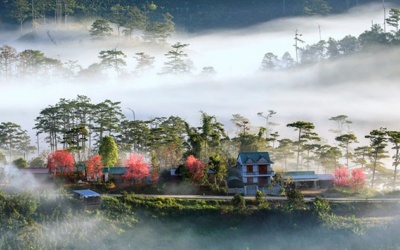 Vẻ đẹp Việt Nam qua các thước phim