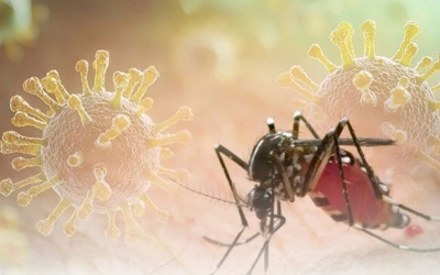 Virus chikungunya đang hoành hành tại Trung Quốc nguy hiểm thế nào?