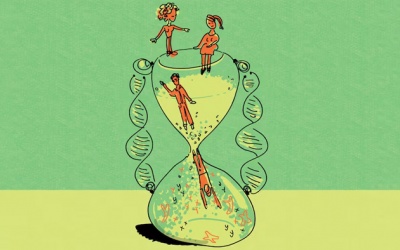 Yếu tố lão hóa bạn không thể kiểm soát: Gene di truyền