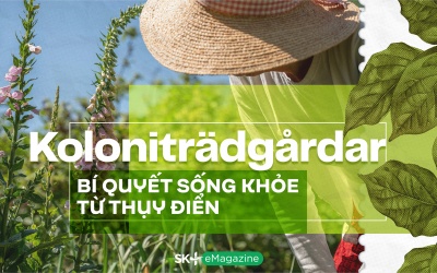 Koloniträdgårdar - Bí quyết sống khỏe từ Thụy Điển