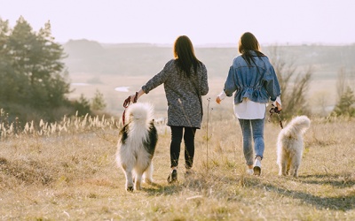 Tử vi Chủ nhật (24/8/2025): Bạch Dương nên cân nhắc kỹ khi lựa chọn bạn đồng hành