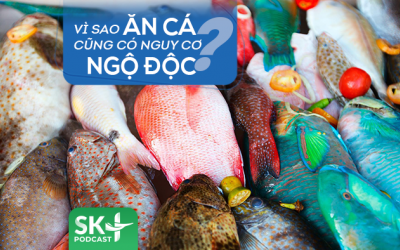 Podcast: Vì sao ăn cá cũng có nguy cơ ngộ độc?