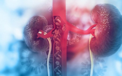 Triệu chứng suy thận nhẹ bạn không thể bỏ qua