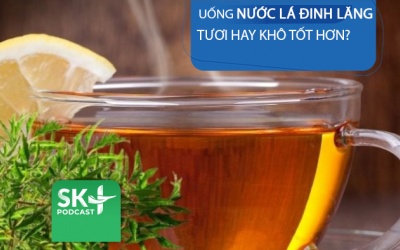 Podcast: Uống nước lá đinh lăng tươi hay khô sẽ tốt hơn?