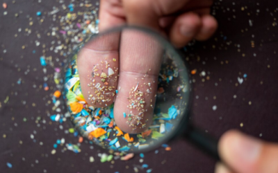 7 thói quen đơn giản giúp loại bỏ vi nhựa khỏi cuộc sống