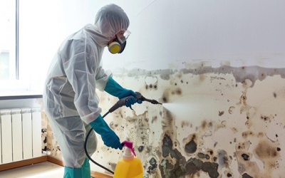 Australia: Giảm chi phí y tế nhờ nâng cao chất lượng nhà ở