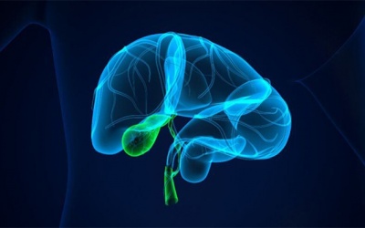 Polyp túi mật có thể gây ung thư không?