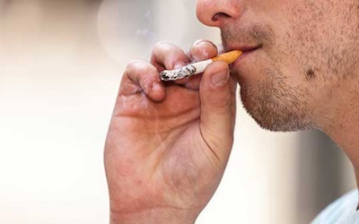 Hút thuốc lá, thuốc lào và nguy cơ viêm phế quản mạn